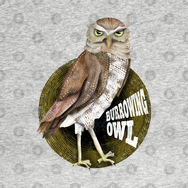 Burrowing Owl by mailboxdisco